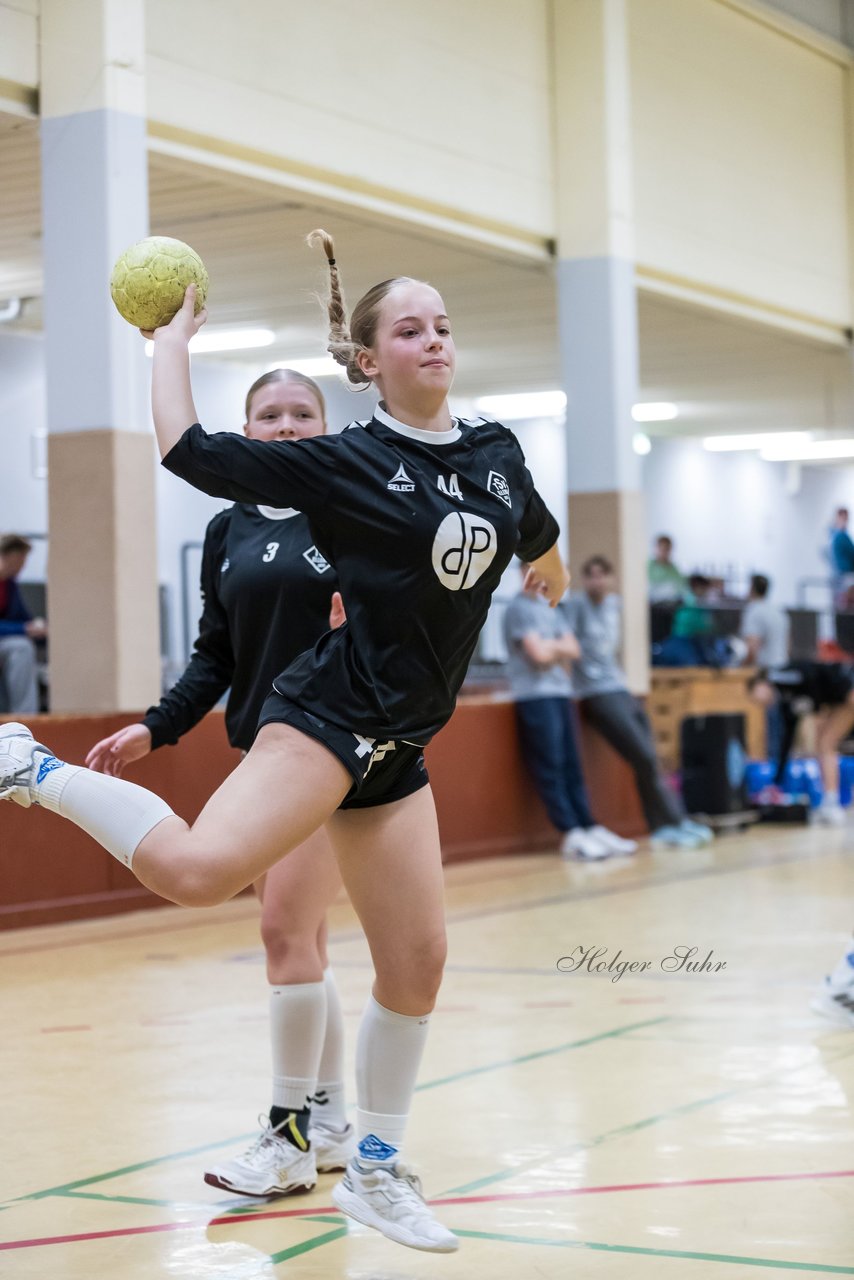 Bild 172 - wBJ TSV Ellerau - HSG Schue/We/Re : Ergebnis: 23:15
